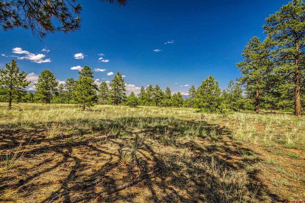 1343B Wheeler Place Pagosa Springs CO 81147