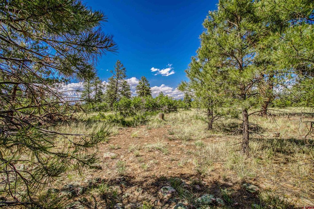 1343B Wheeler Place Pagosa Springs CO 81147