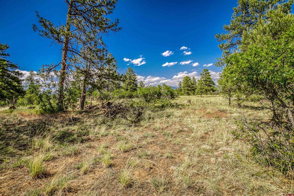 1343B Wheeler Place Pagosa Springs CO 81147