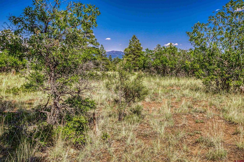 1343B Wheeler Place Pagosa Springs CO 81147