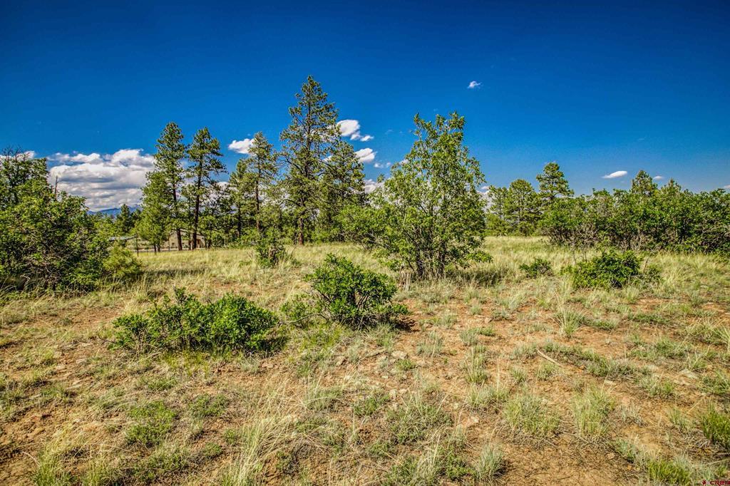 1343B Wheeler Place Pagosa Springs CO 81147