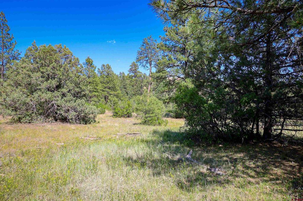 1343B Wheeler Place Pagosa Springs CO 81147