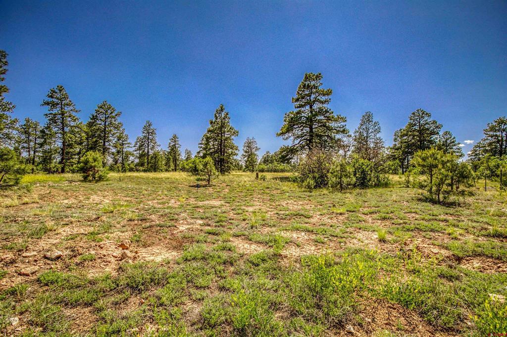 1343B Wheeler Place Pagosa Springs CO 81147