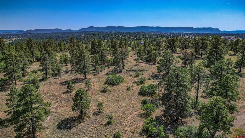 1343B Wheeler Place Pagosa Springs CO 81147