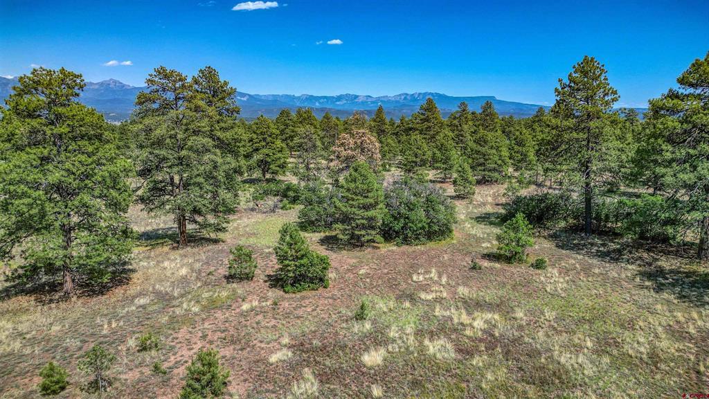 1343B Wheeler Place Pagosa Springs CO 81147