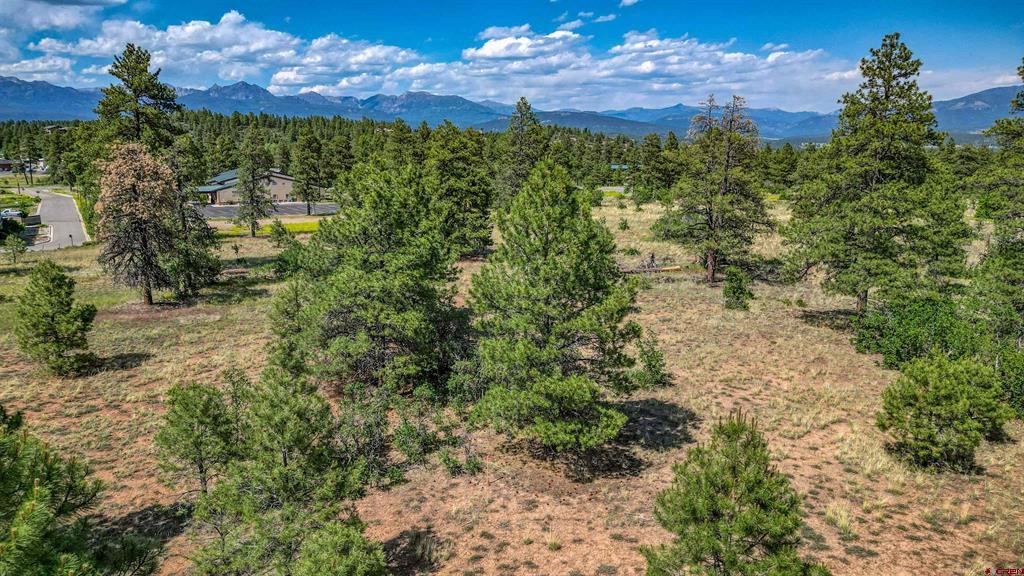 1343B Wheeler Place Pagosa Springs CO 81147