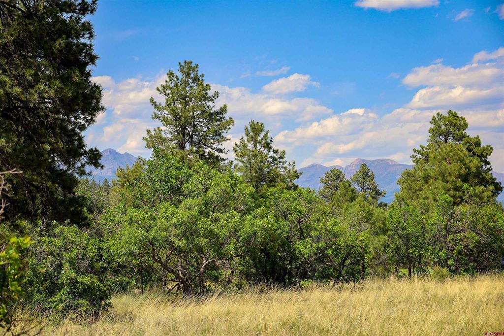 1343B Wheeler Place Pagosa Springs CO 81147