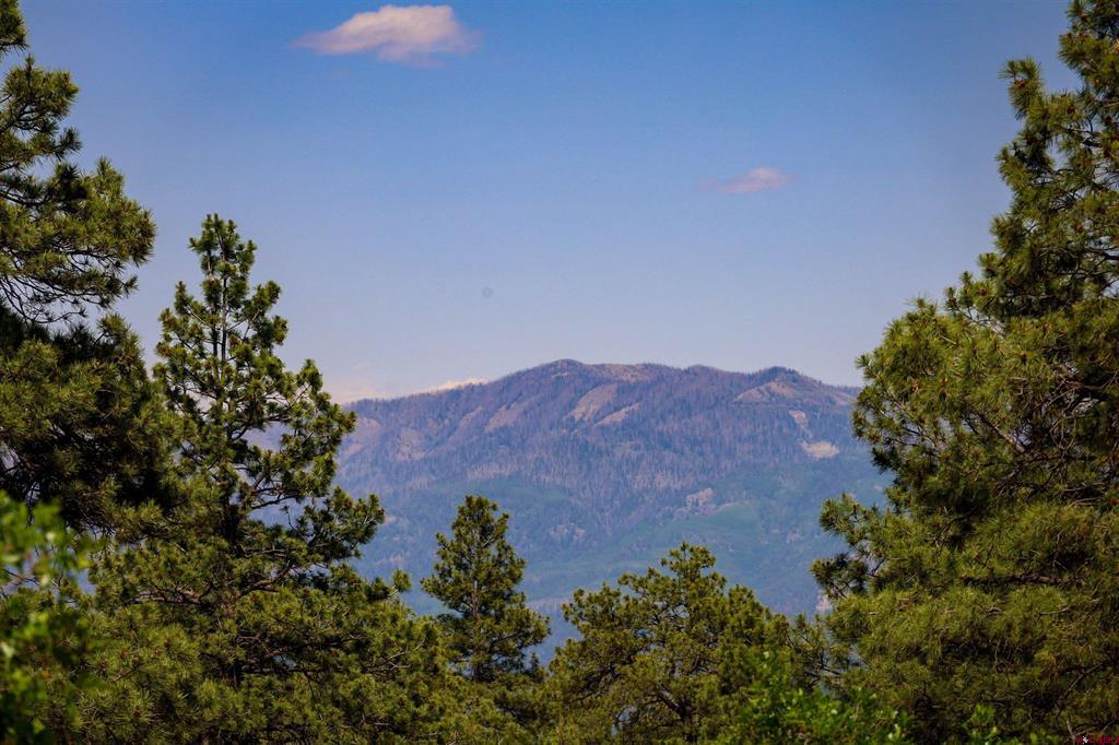 1343B Wheeler Place Pagosa Springs CO 81147