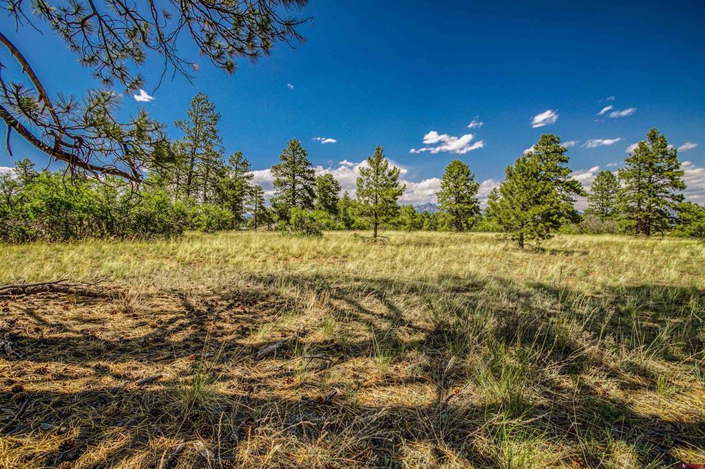 1343B Wheeler Place Pagosa Springs CO 81147