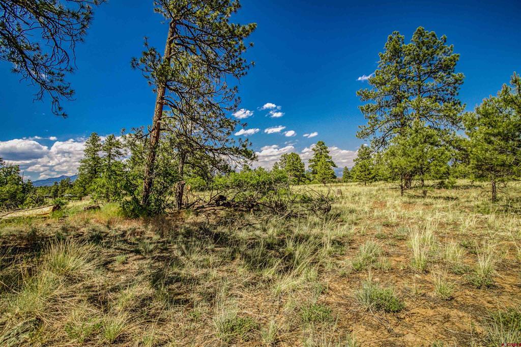 1343B Wheeler Place Pagosa Springs CO 81147