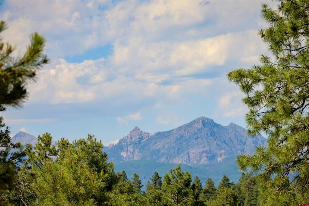 1343B Wheeler Place Pagosa Springs CO 81147