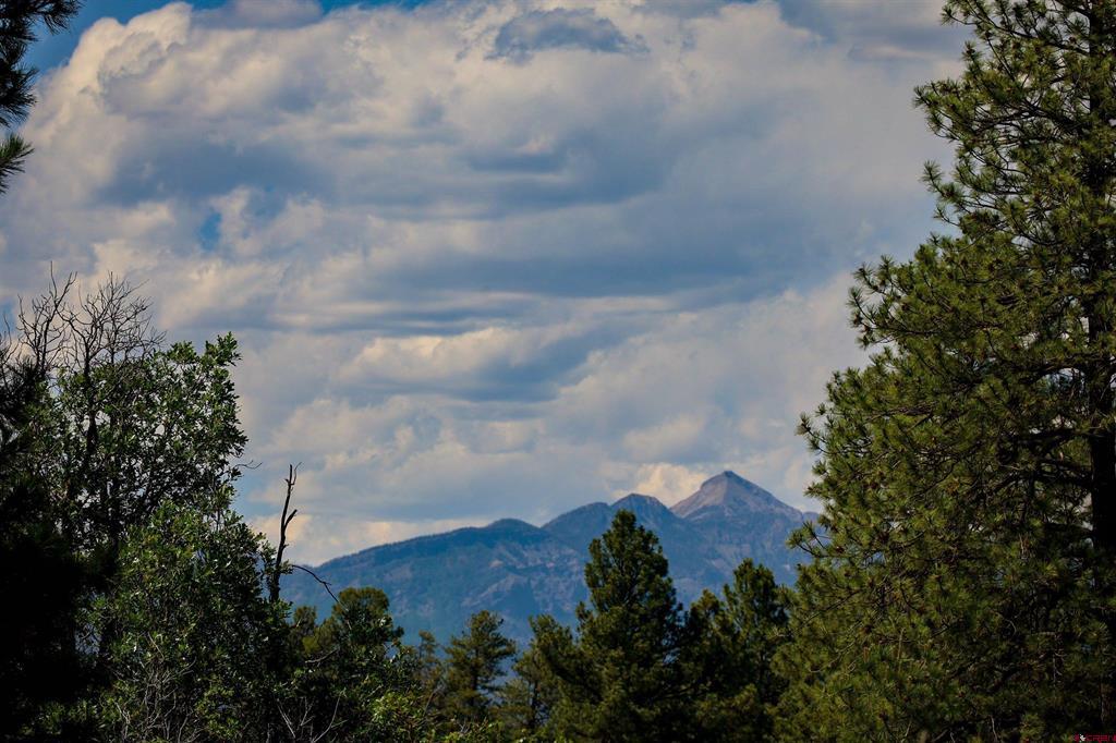 1343B Wheeler Place Pagosa Springs CO 81147