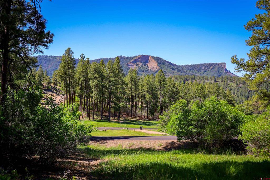 379 Ironwood Drive Pagosa Springs CO 81147