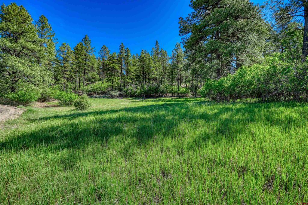 379 Ironwood Drive Pagosa Springs CO 81147