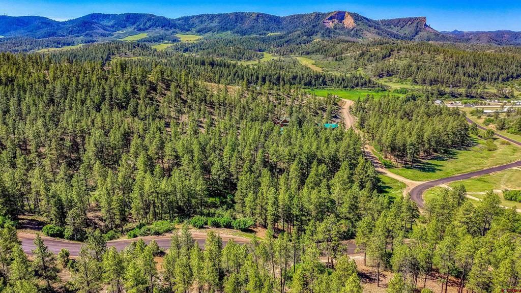 379 Ironwood Drive Pagosa Springs CO 81147