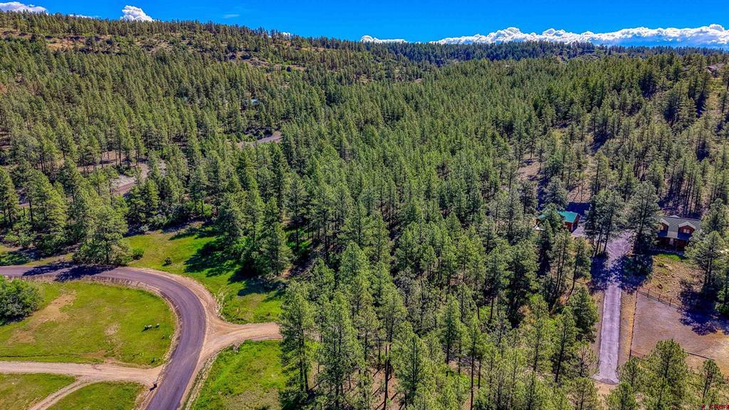 379 Ironwood Drive Pagosa Springs CO 81147