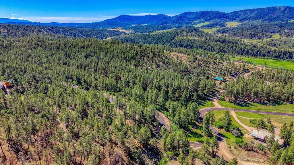 379 Ironwood Drive Pagosa Springs CO 81147