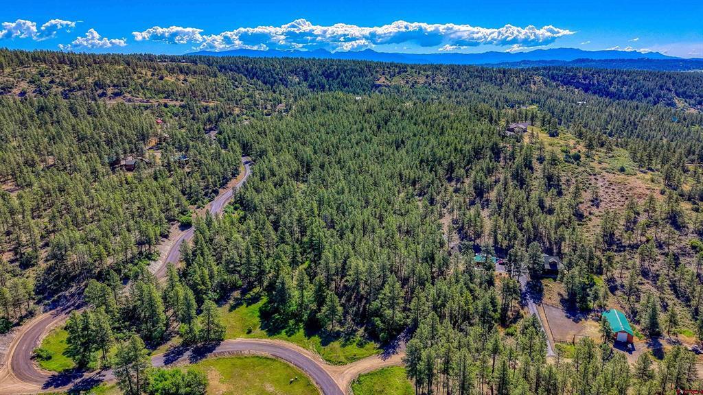 379 Ironwood Drive Pagosa Springs CO 81147