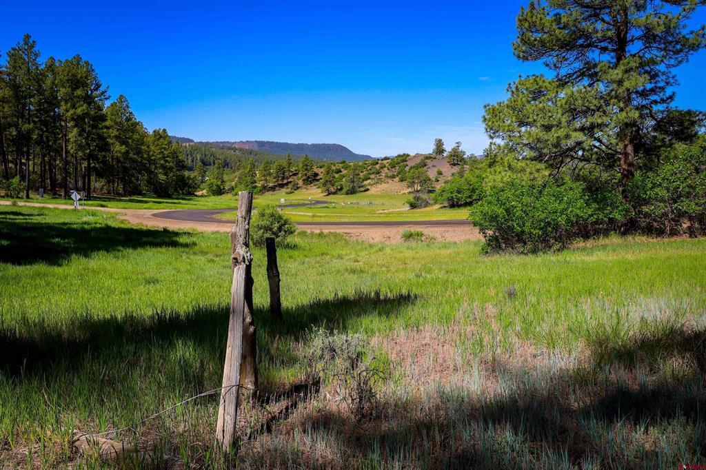 379 Ironwood Drive Pagosa Springs CO 81147