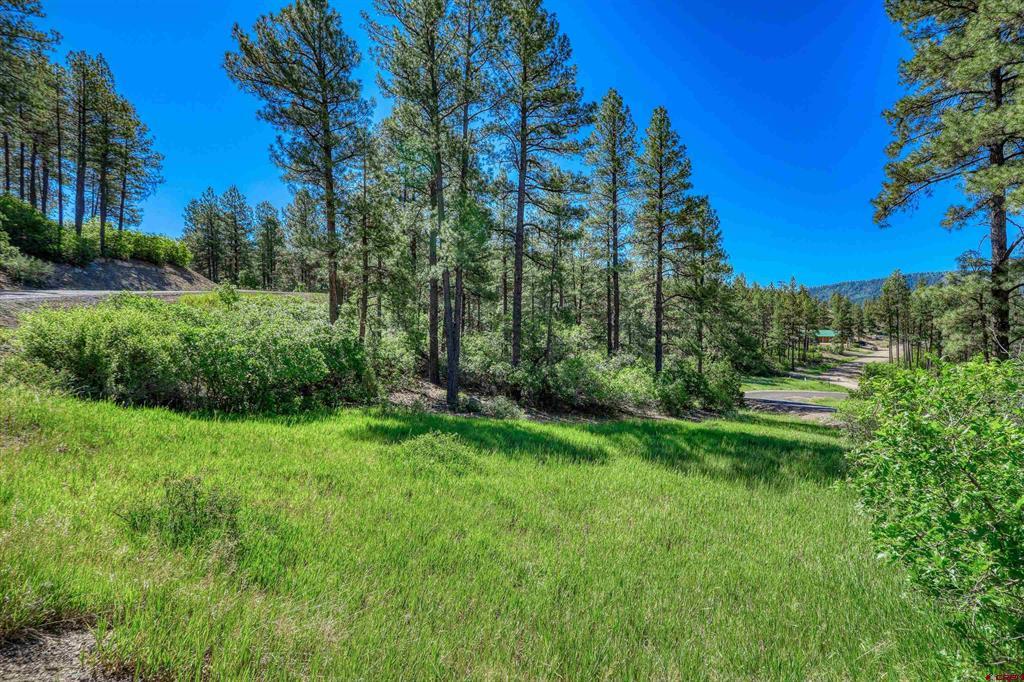379 Ironwood Drive Pagosa Springs CO 81147