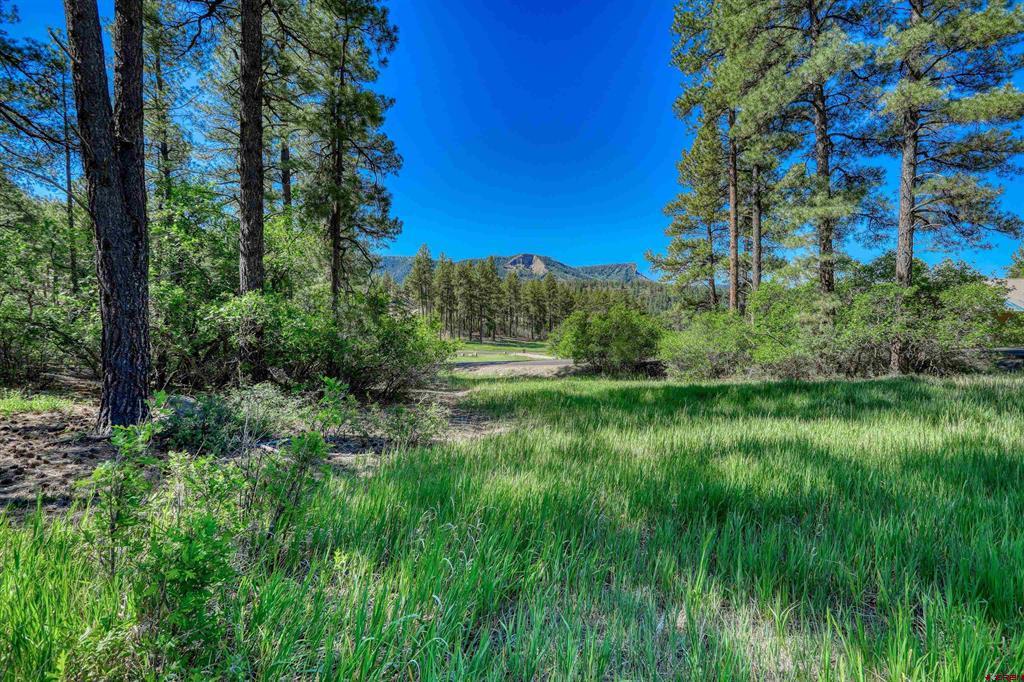 379 Ironwood Drive Pagosa Springs CO 81147
