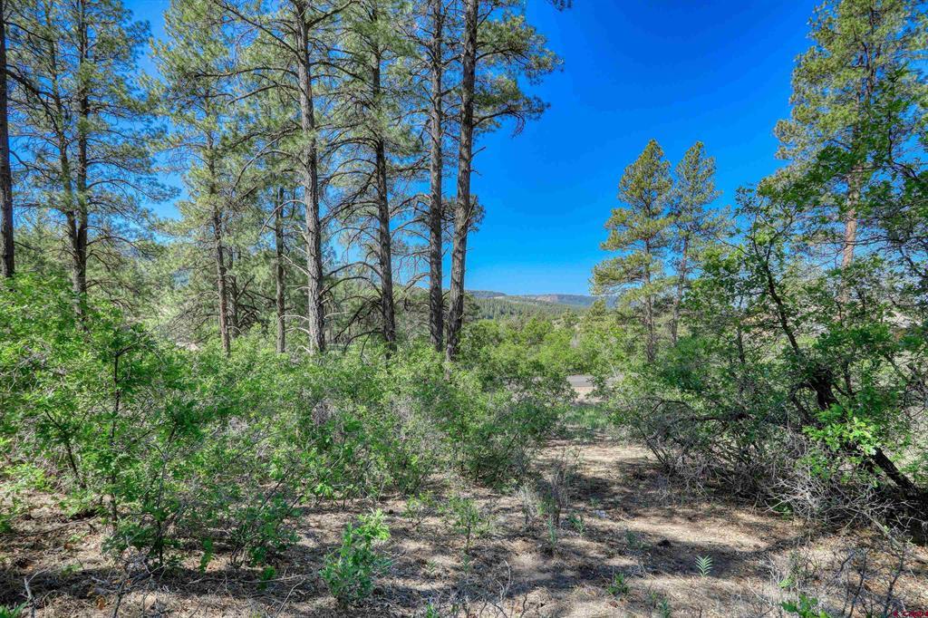 379 Ironwood Drive Pagosa Springs CO 81147