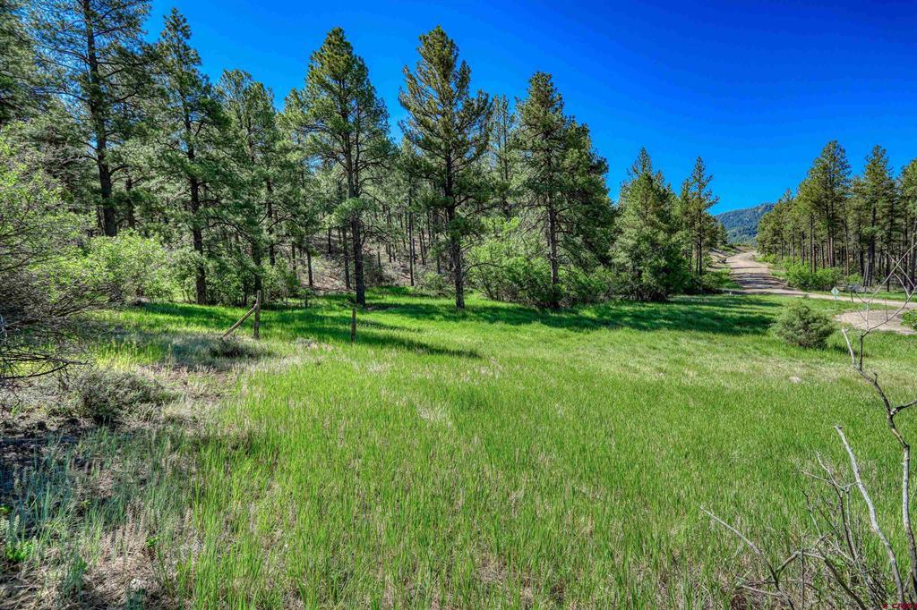 379 Ironwood Drive Pagosa Springs CO 81147