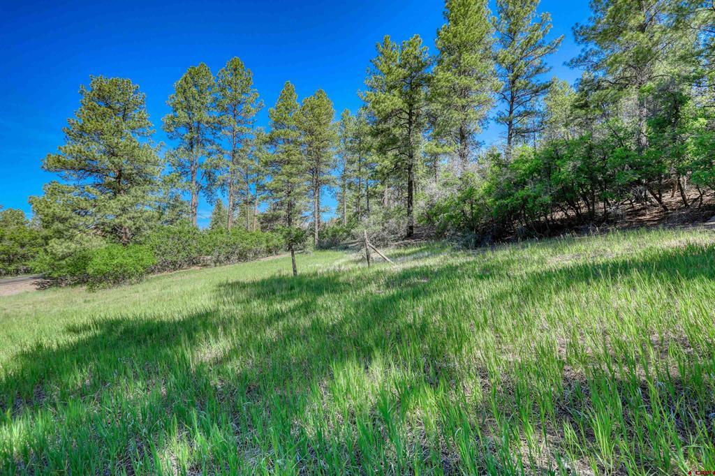 379 Ironwood Drive Pagosa Springs CO 81147