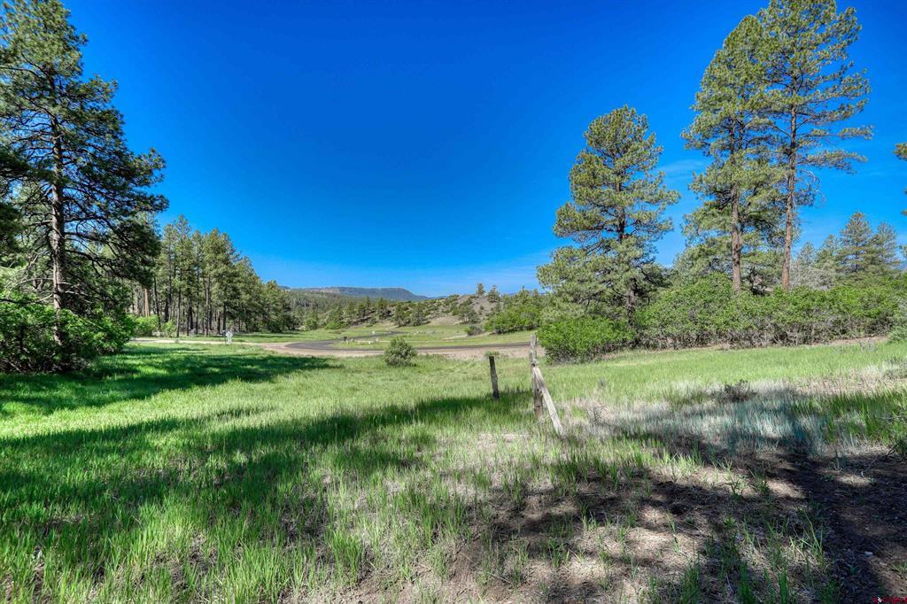 379 Ironwood Drive Pagosa Springs CO 81147