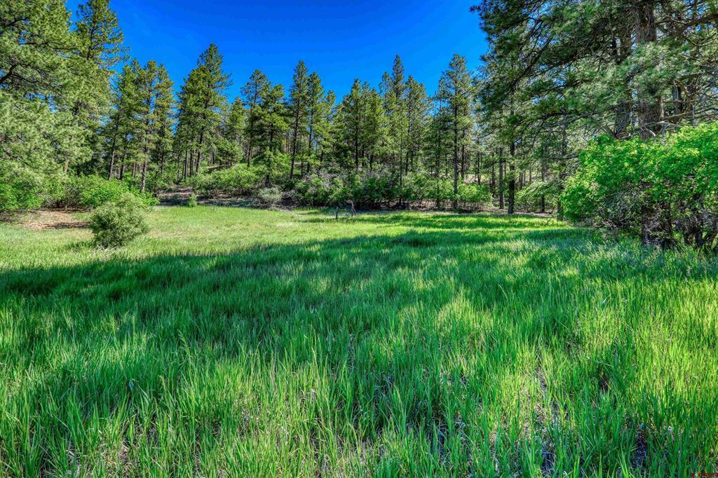 379 Ironwood Drive Pagosa Springs CO 81147