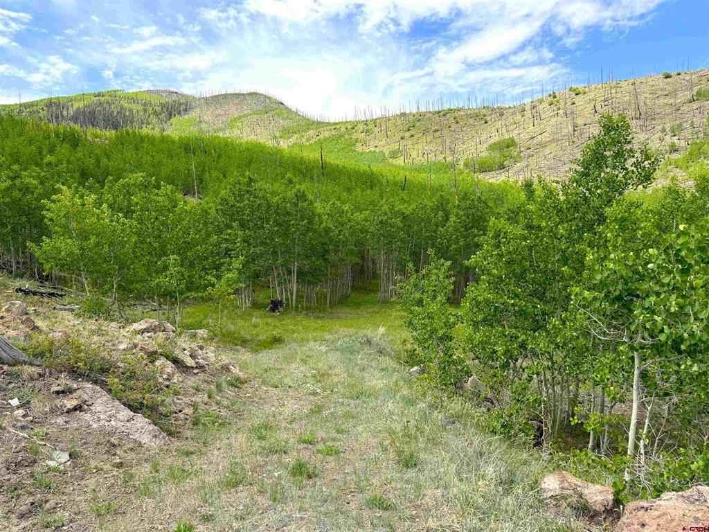 380 Bobcat Court South Fork CO 81154