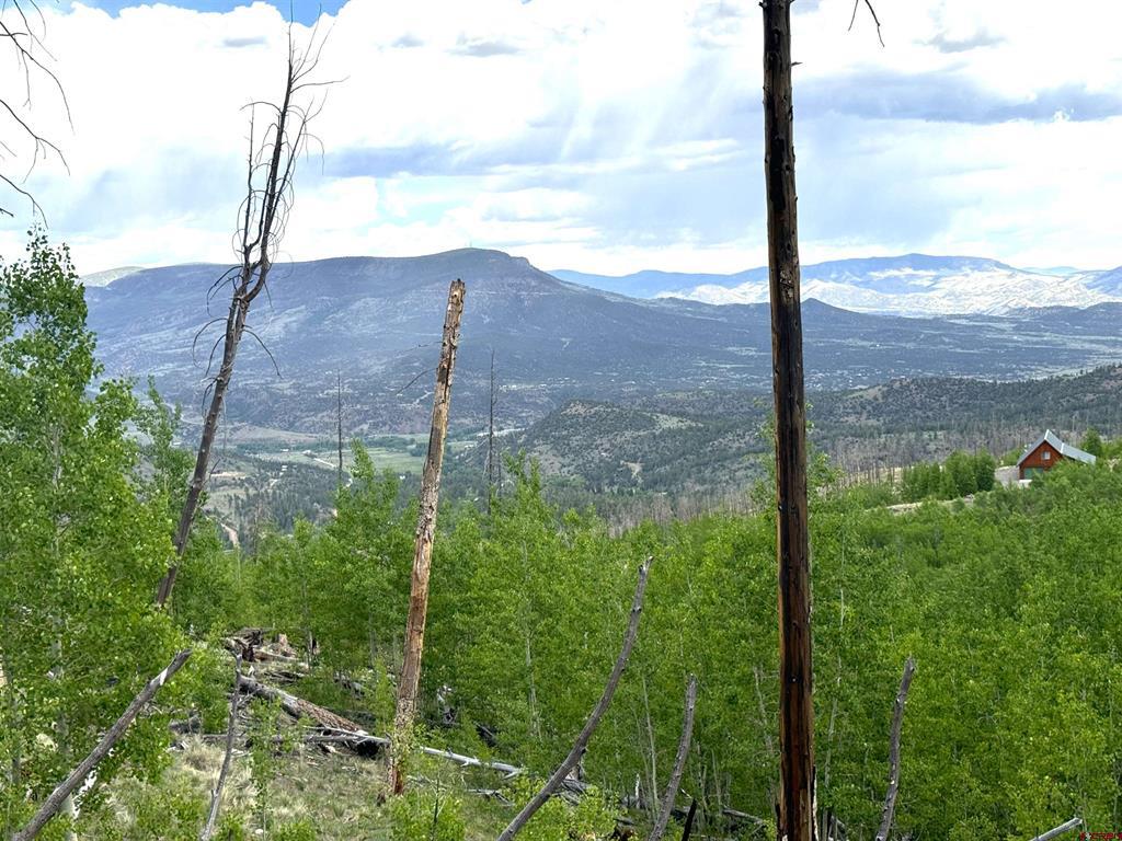 380 Bobcat Court South Fork CO 81154