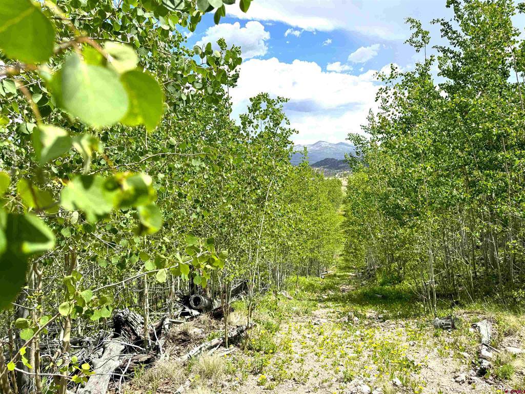 380 Bobcat Court South Fork CO 81154