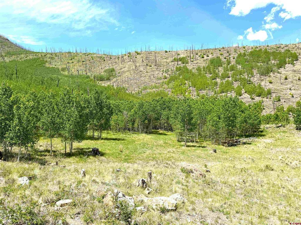 380 Bobcat Court South Fork CO 81154