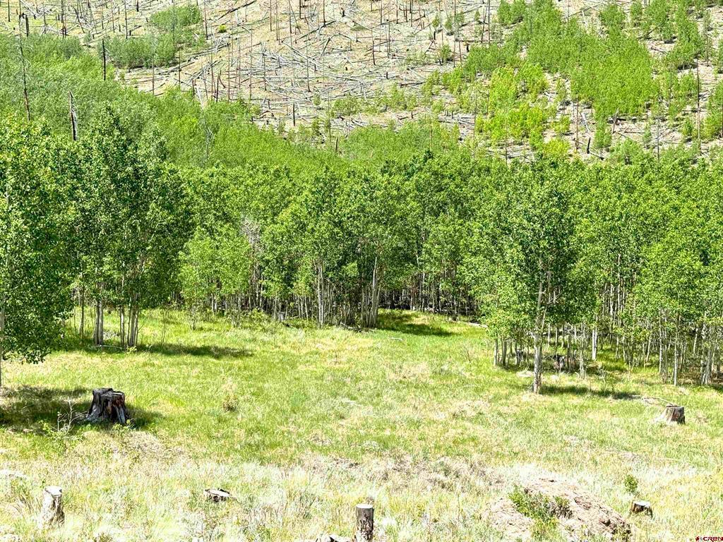 380 Bobcat Court South Fork CO 81154