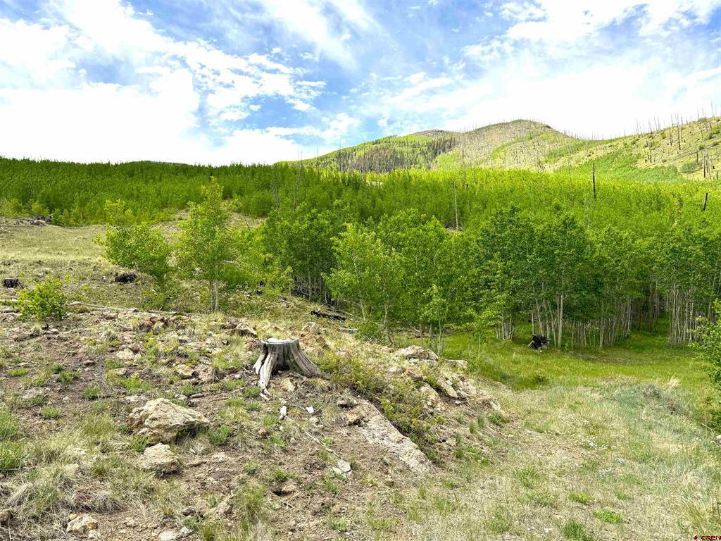 380 Bobcat Court South Fork CO 81154