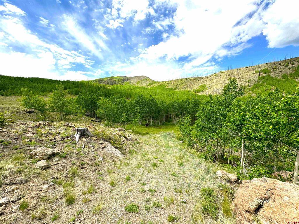 380 Bobcat Court South Fork CO 81154