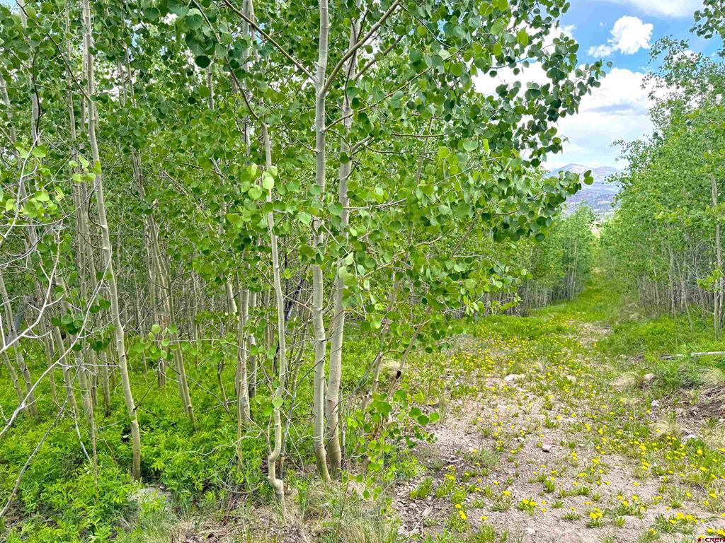 380 Bobcat Court South Fork CO 81154