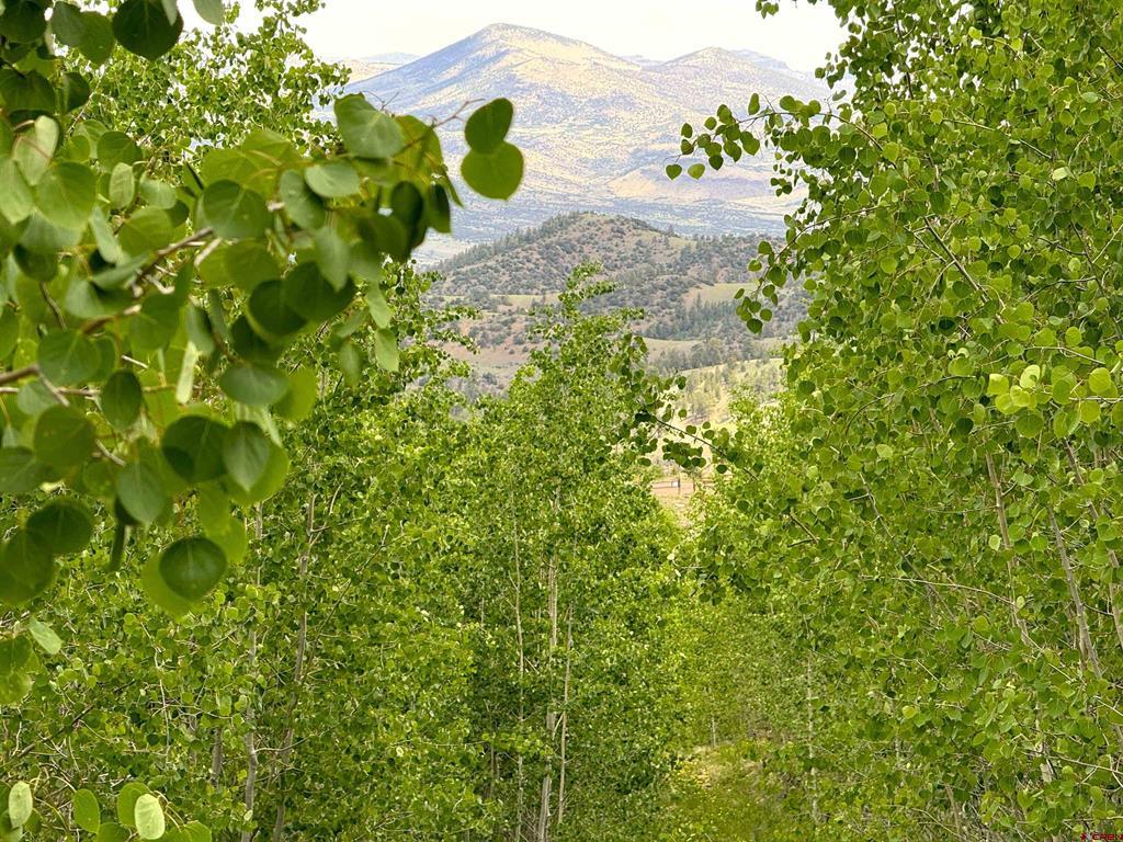 380 Bobcat Court South Fork CO 81154