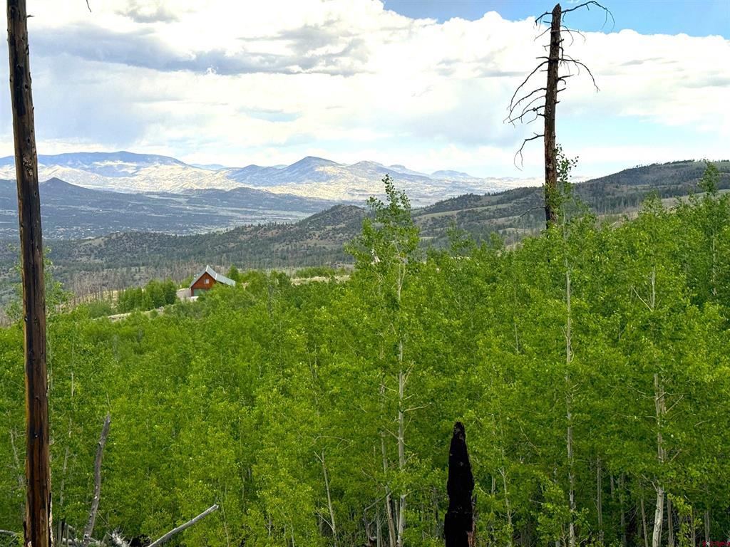 380 Bobcat Court South Fork CO 81154