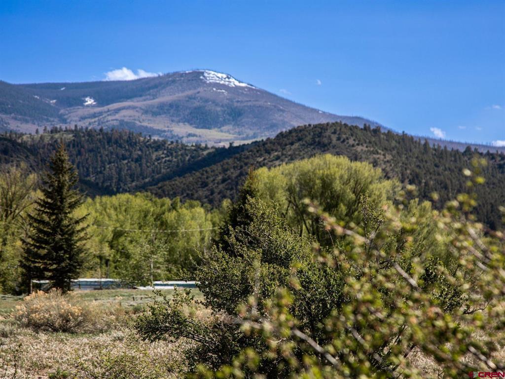 127 Brown's Road South Fork CO 81154