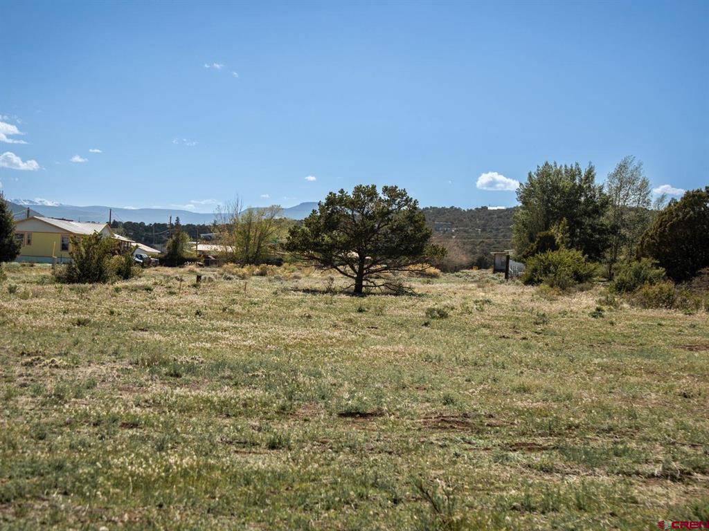 127 Brown's Road South Fork CO 81154