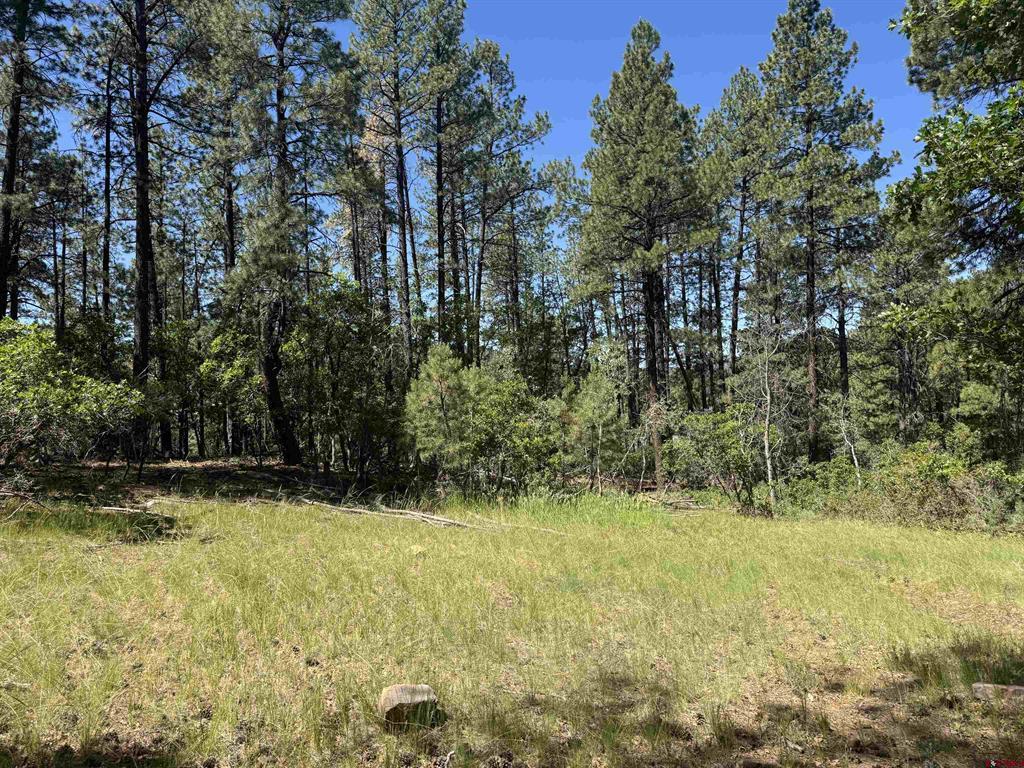 216 Fawn Drive Bayfield CO 81122