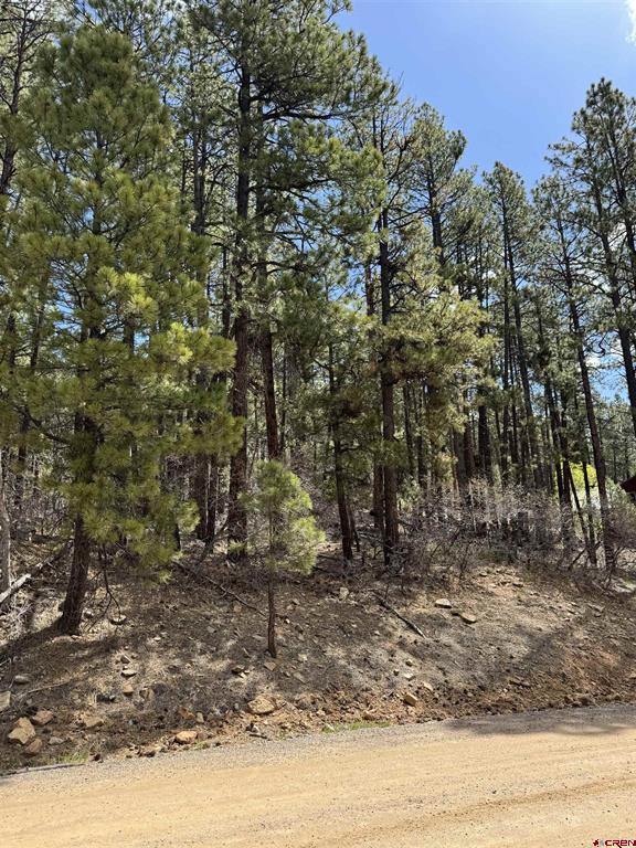 216 Fawn Drive Bayfield CO 81122