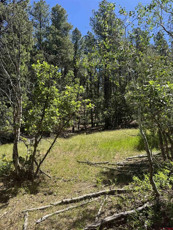 216 Fawn Drive Bayfield CO 81122