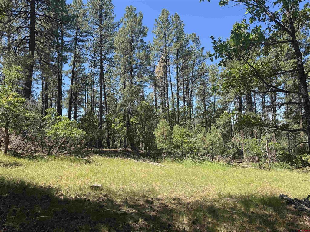 216 Fawn Drive Bayfield CO 81122