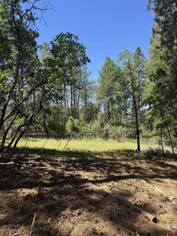 216 Fawn Drive Bayfield CO 81122
