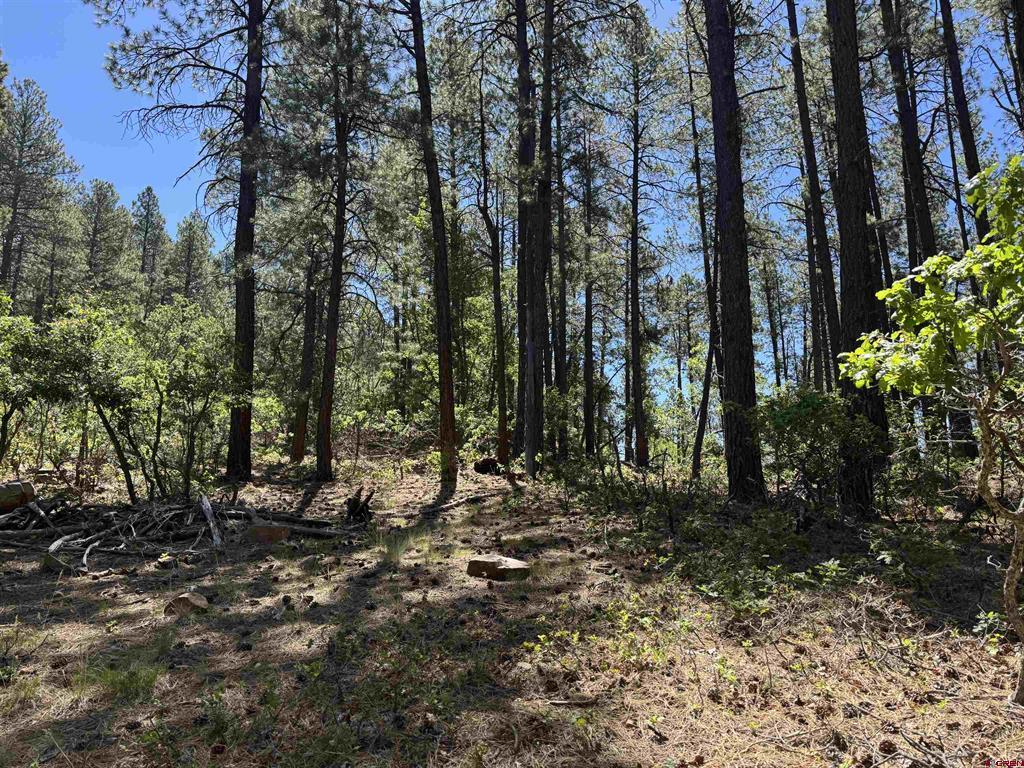 216 Fawn Drive Bayfield CO 81122