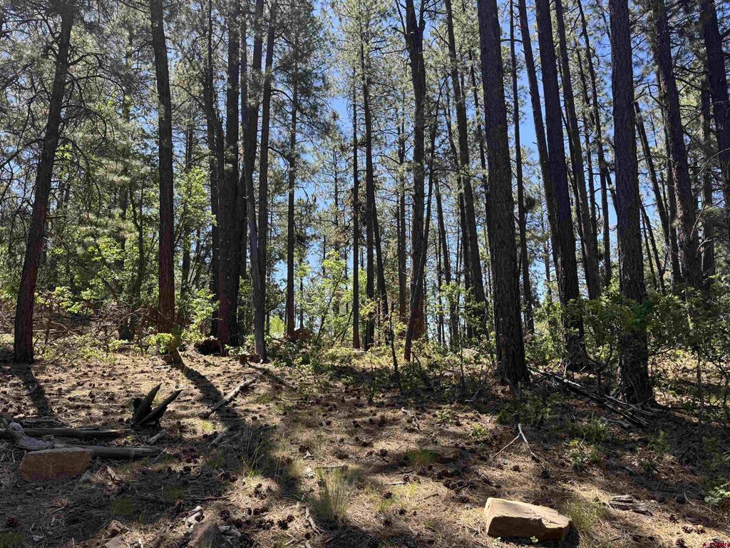216 Fawn Drive Bayfield CO 81122