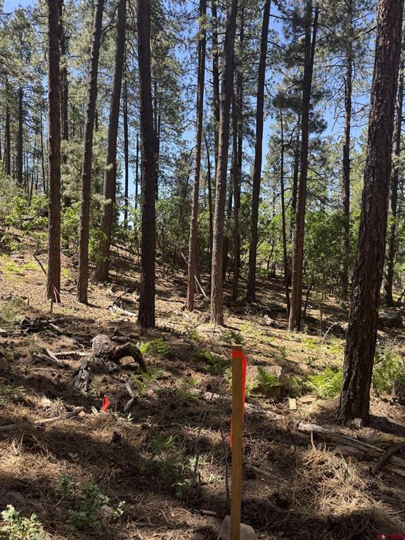 216 Fawn Drive Bayfield CO 81122
